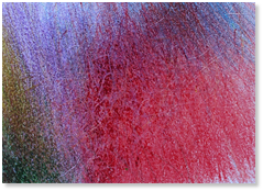 Curtis Brown “Untitled”