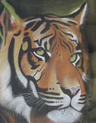 Gaby Sierrarigas “Tiger”