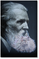 Janine Ker “Cat Beard”