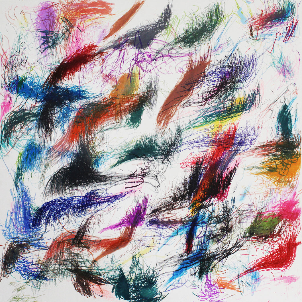 Lauren Shapiro - 